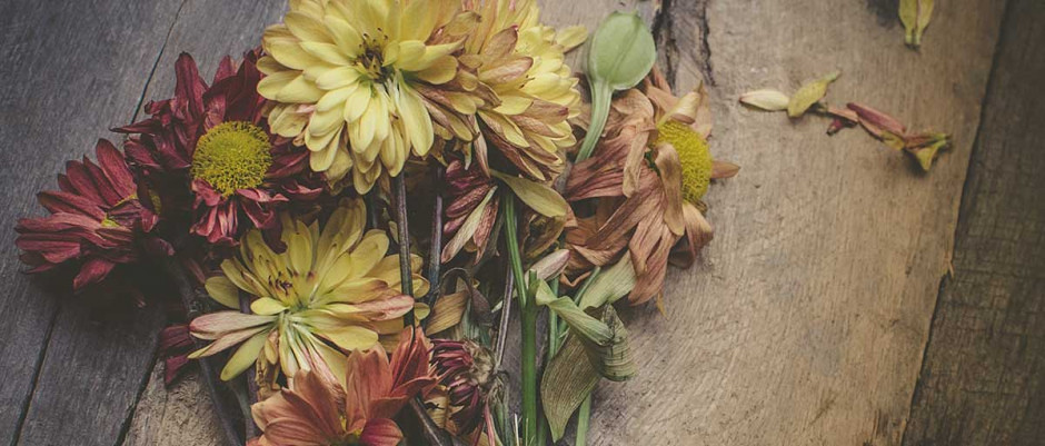 Dienstleistungen curo Rolf Müller