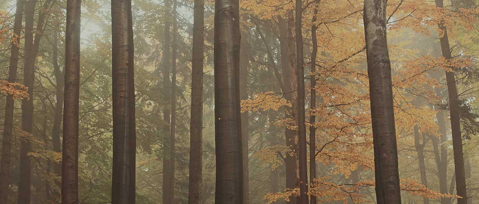 Vorsorge curo Rolf Müller